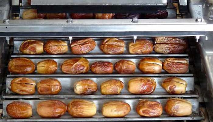 انتقال خرمای برداشت شده به خط تولید