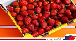 قوانین و شرایط نگهداری میوه در سردخانه - الکتروبهمن